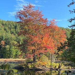 Meet your Posher, Hongxia